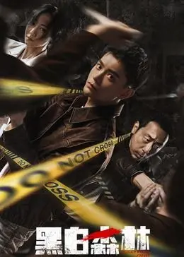 《黑白森林》：警匪卧底双雄，正邪难辨的生死对决