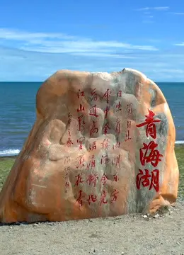 《丝绸之路青海道》：一部让我大跌眼镜的纪录片，那个釜山乡巴佬in悉尼般的反差，简直绝了！